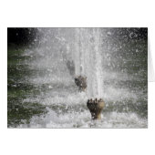 Fountain (Front Horizontal)