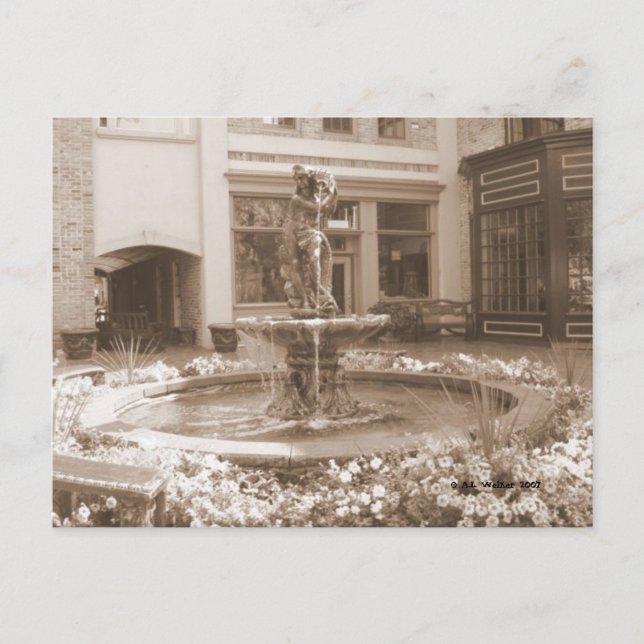 Fountain-a-Bloom Postcard (Front)