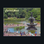 Fountain and Lake in Central Park, New York City Postcard<br><div class="desc">People stand and sit around Bethesda Fountain while others row boats on the lake in Central Park in New York City on a sunny summer day.</div>