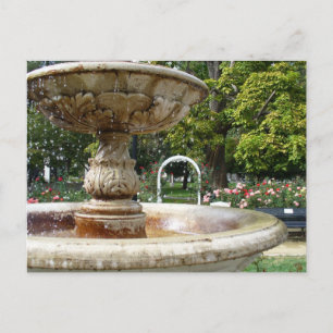 Fountain in the Park Postcard