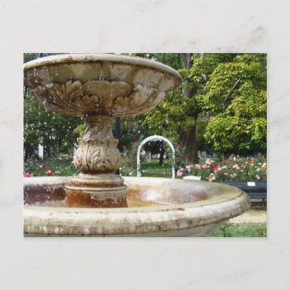 Fountain in the Park Postcard