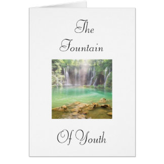 Fountain of Youth Cards