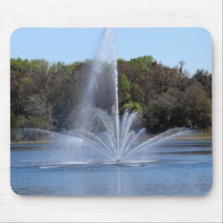 Fountain on a Lake