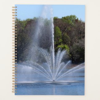 Fountain on a Lake
