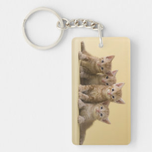 Four American Shorthair Kittens Keychain