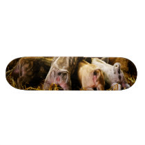 Four Baby Piglet Mangalitsa Hogs Showing Butts Skateboard Deck