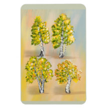 Four birch trees in color, botanical.