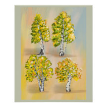 Four birch trees in color, botanical.