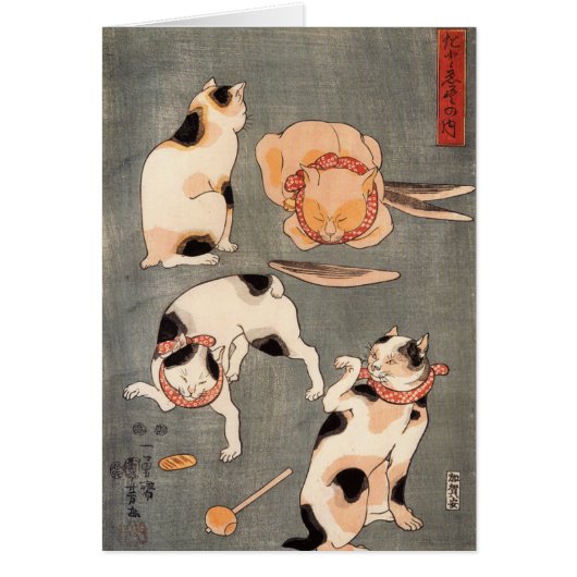 Four Cats Playing Together Cards (Front)
