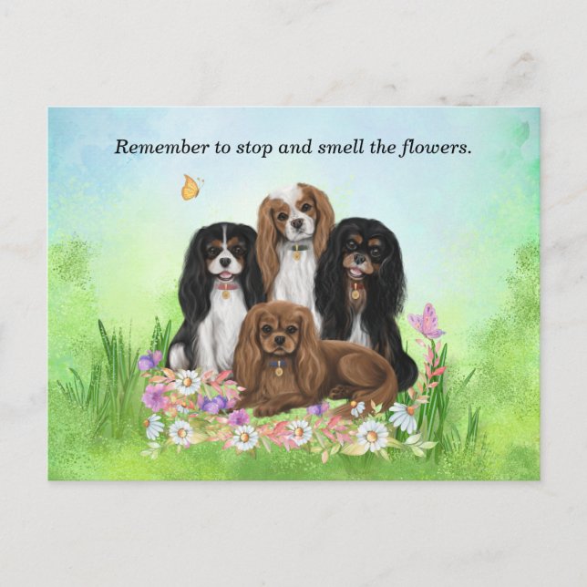 Four Cavalier King Charles Spaniels in Flowers   Postcard (Front)