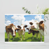 Four chatting cows (Standing Front)
