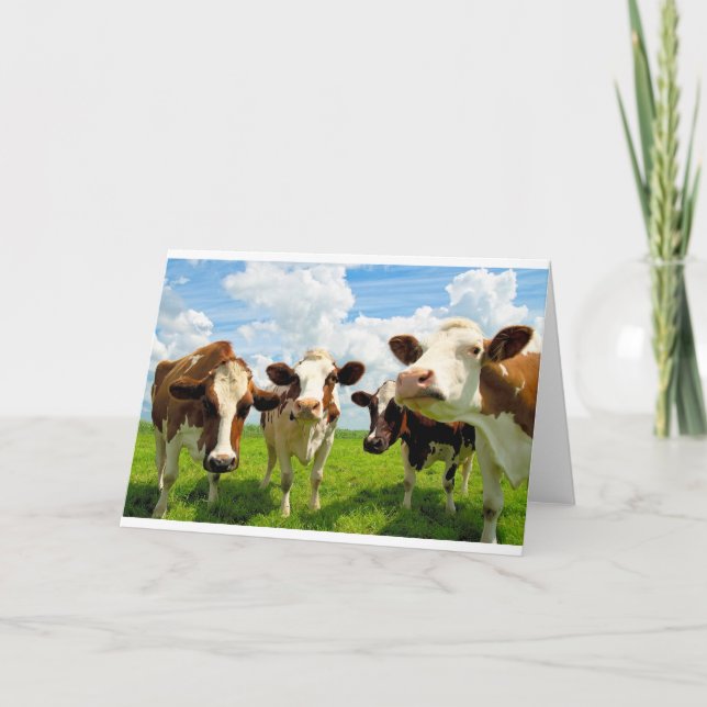Four chatting cows card (Front)