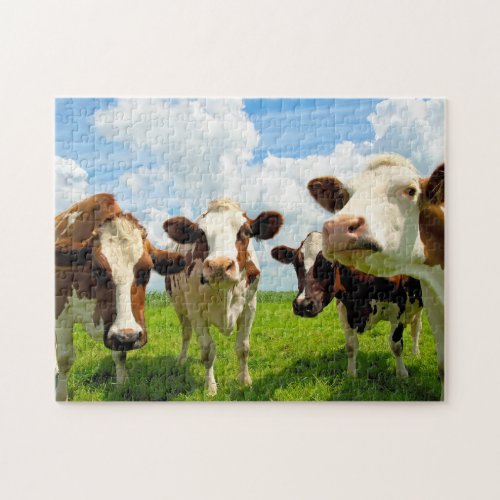 Four chatting cows jigsaw puzzle