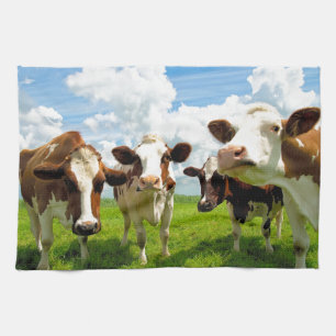 Four chatting cows towel
