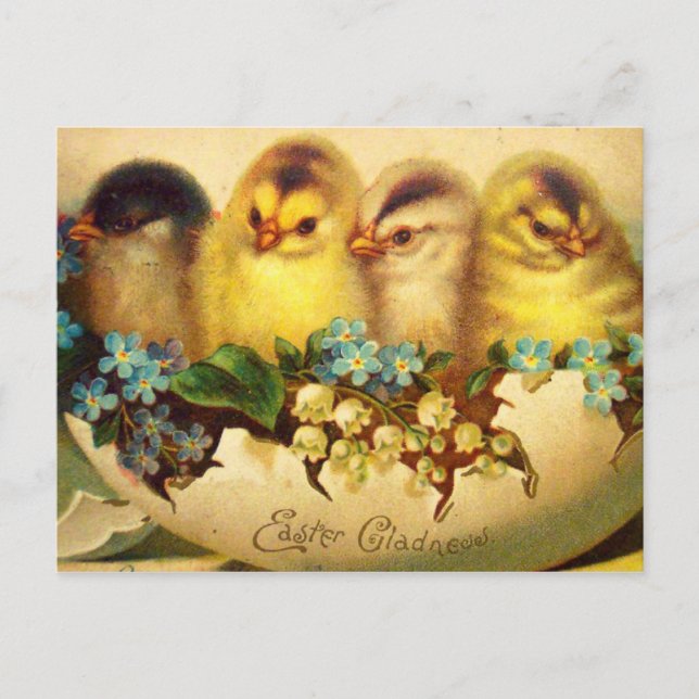 Four Chicks in an Egg Easter Postcard (Front)