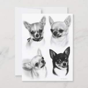 Four Chihuahuas Realistic Hand Painted Artwork Postcard
