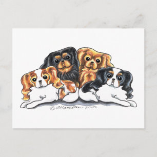 Four CKCS Postcard