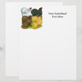 Four Cochin Hens (Front/Back)