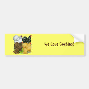 Four Cochin Hens Bumper Sticker