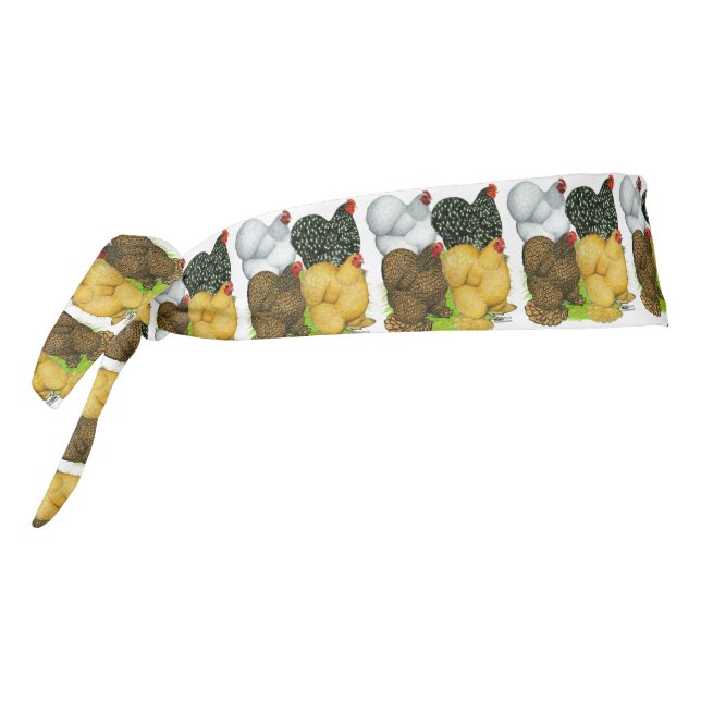 Four Cochin Hens Tie Headband (Rotate 270)