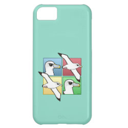 Four Color Albatross Case-Mate Barely There iPhone 5C Case