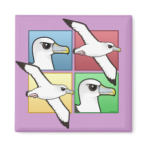 Four Color Albatross Magnet