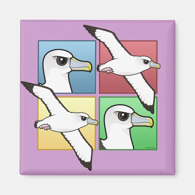 Four Color Albatross Magnet (Front)