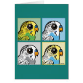 Four Color Budgies (Front)