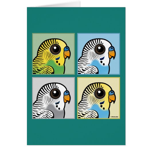 Four Color Budgies Cards (Front)