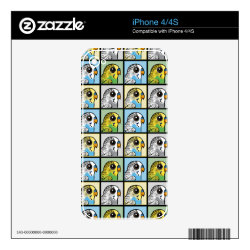 Four Color Budiges iPhone 4/4S Skin