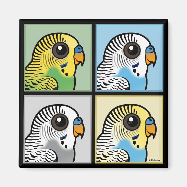 Four Color Budgies Magnet (Front)