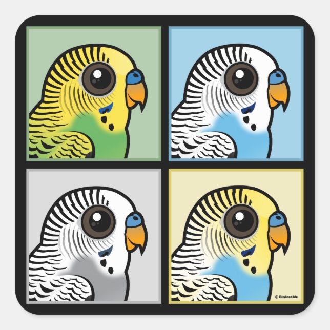 Four Color Budgies Square Sticker (Front)
