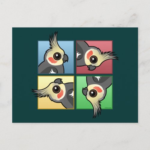 Four Color Cockatiel Postcard