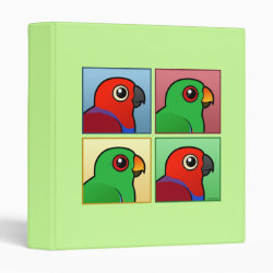 Four Color Eclectus Parrots Avery Signature Binder 8.5x11