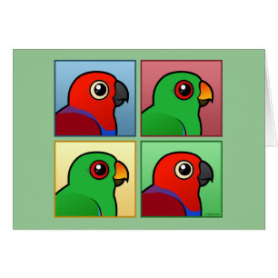 Four Color Eclectus Cards