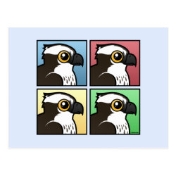 Four Color Osprey Postcard