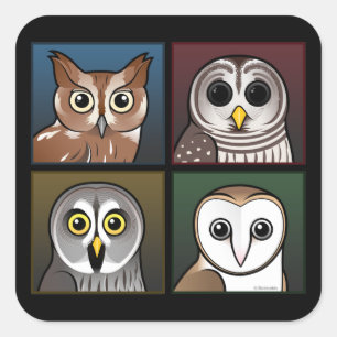 Four Color Owls (dark) Square Sticker