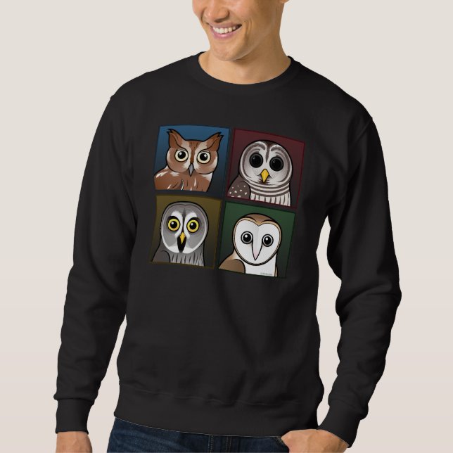 Four Color Owls (dark) Sweatshirt (Front)