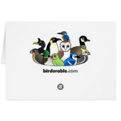 Four Color Owls (pastel) Cards (Back Horizontal)