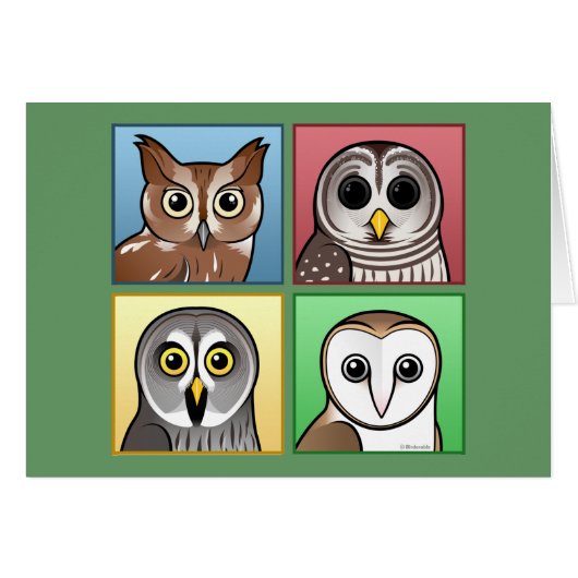 Four Color Owls (pastel) Cards (Front Horizontal)
