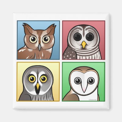 Four Color Owls (pastel) Magnet
