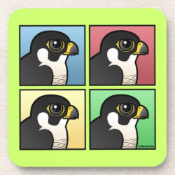 Four Color Peregrine Falcon Beverage Coaster