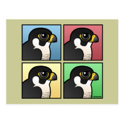 Four Color Peregrine Falcon Postcard
