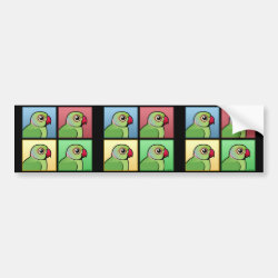 Four Color IRN / Indian Ringneck Parakeets Bumper Sticker