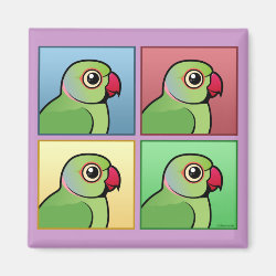 Four Color IRN / Indian Ringneck Parakeets Square Magnet