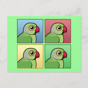 Four Color Rose-ringed Parakeet Postcard