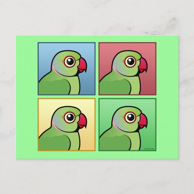 Four Color Rose-ringed Parakeet Postcard (Front)