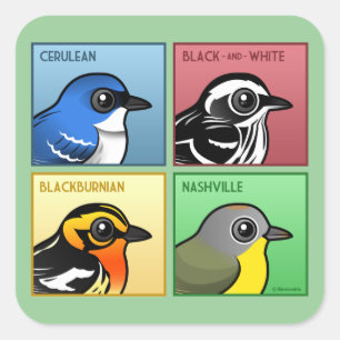 Four Color Warblers Square Sticker