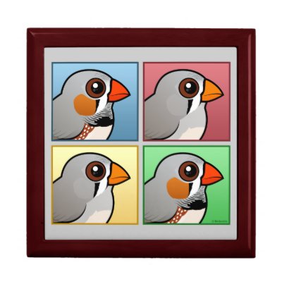 Four Color Zebra Finch Keepsake Box