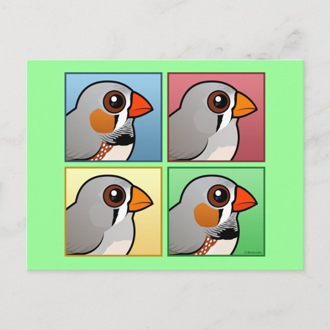 Four Color Zebra Finch Postcard (Front)
